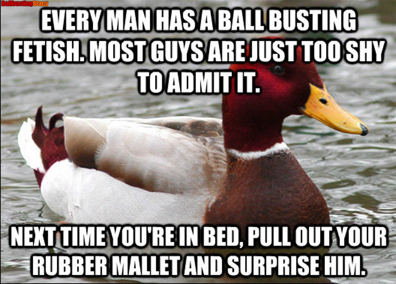 BallbustingStacy on X: 