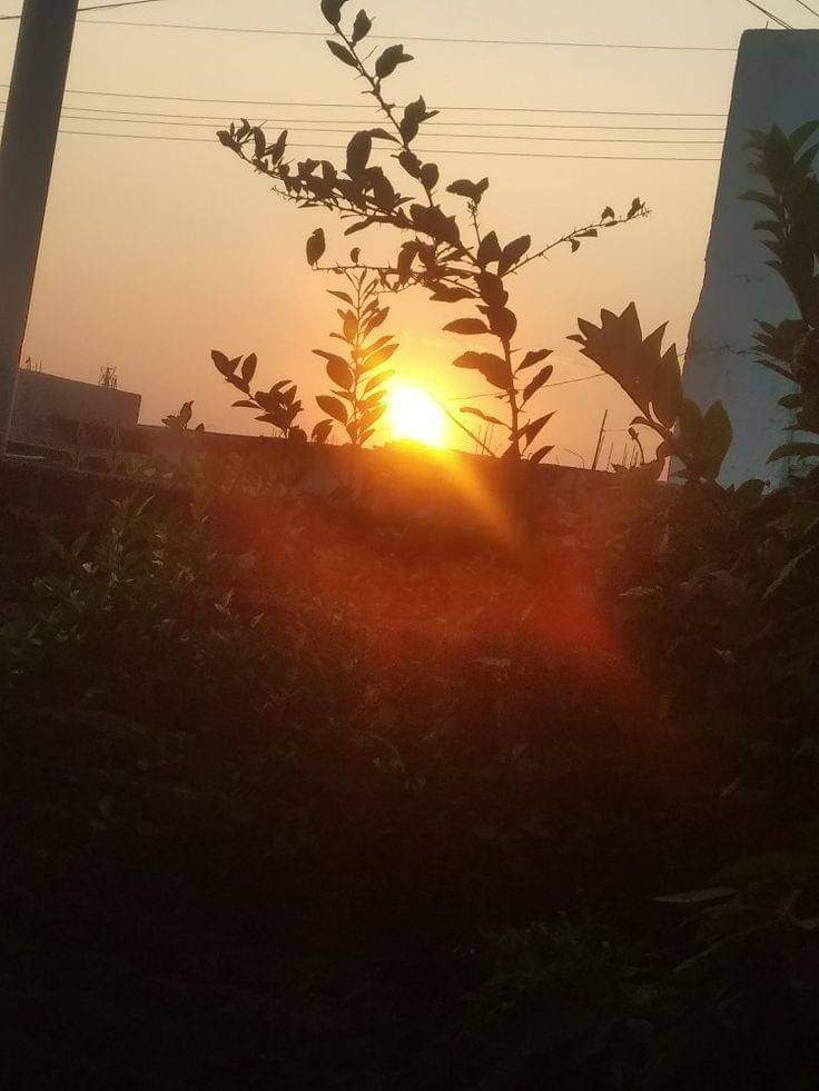m4moid's tweet photo. سب تکلیف سب عیب تھے منظور مجھے
سوائے شراکت کے عزیز من سوائے شراکت کے!
🖤

@McTrendz 🥀🙂 https://t.co/mdWjQjwMyz