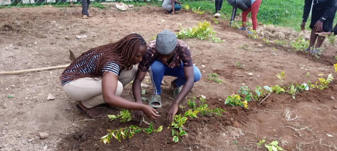 Inkomezabigwi22's tweet photo. #Kamonyi inkomezabigwi X zikomeje ibikorwa byo gutunganya inyubako za Leta zifatanyije n'abaturage ndetse no kurwanya imirire mibi hubakwa imirima yigikoni #imihigo irakomeje @DrNahayo @Unity_MemoryRw @Kamonyi @RwandaSouth @RwandaLocalGov @uwiringirajosee @nyc_kamonyi https://t.co/oCNsZbAyYP