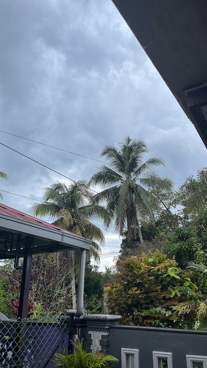 Azizafifi98's tweet photo. Aku dan langit . Hujan renyai melintasi awan tatkala burung terbang bertebaran. https://t.co/hbkumgIVB0