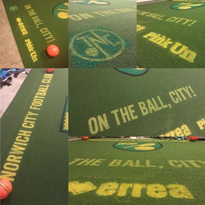 AmericanariesP's tweet photo. Check out these pictures of JB's Norwich themed training pitch!! https://t.co/9q0EEB2Q74