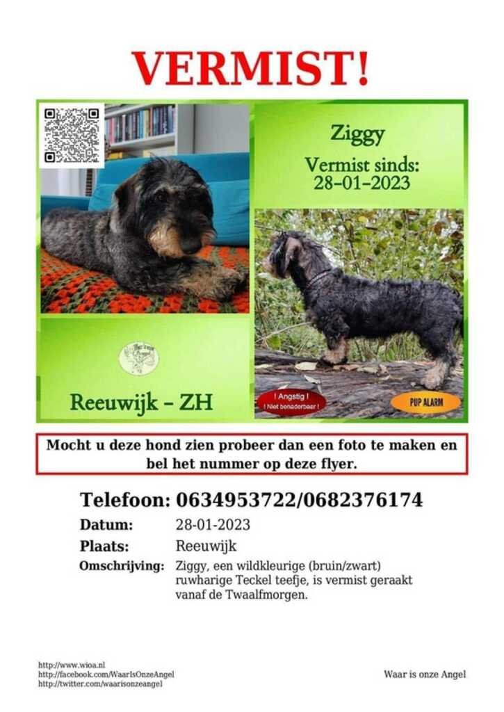 Rob Hagman tweet media