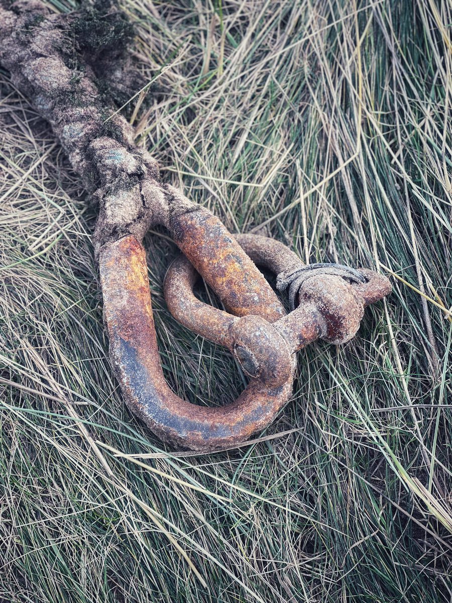 Feeling tethered ? lovely brisk walk to blow off the cobwebs #devon #thisdevon ! Spring is just around the corner