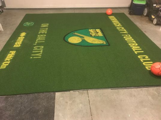 AmericanariesP's tweet photo. Check out these pictures of JB's Norwich themed training pitch!! https://t.co/9q0EEB2Q74