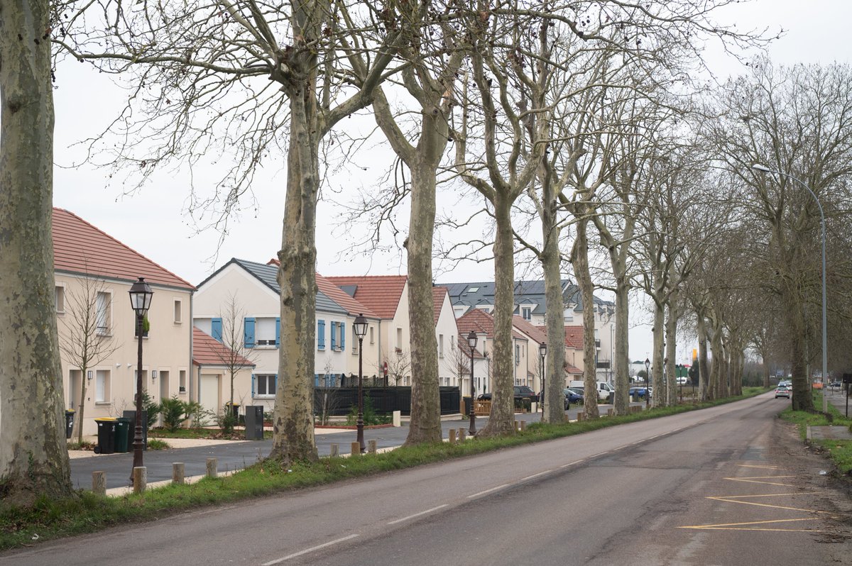 CDEssonne's tweet photo. #RD91 A #Ormoy, des experts sont venus sur place pour se prononcer sur l'abattage d'une dizaine d'arbres malades suite au chantier de création du quartier Saint-Jacques. En effet, il est devenu dangereux de laisser ces arbres dépérir. ⬇ https://t.co/LYJ3pYoBzT