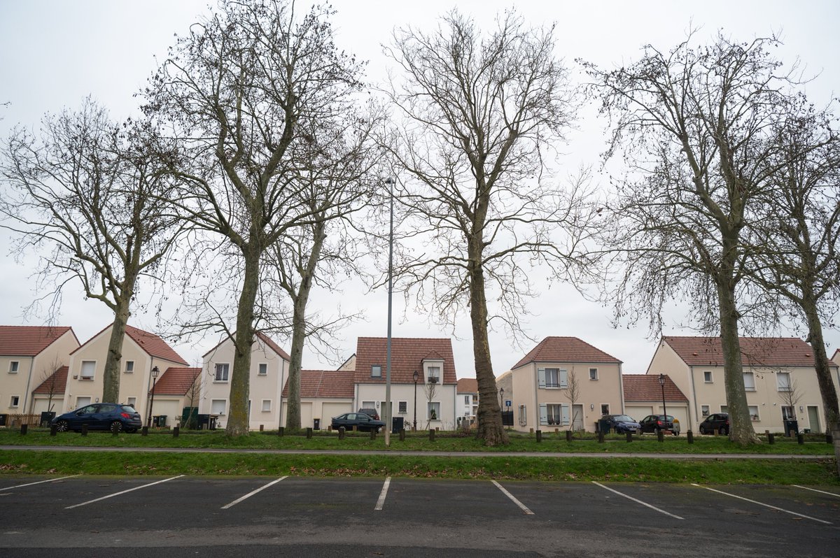 CDEssonne's tweet photo. #RD91 A #Ormoy, des experts sont venus sur place pour se prononcer sur l'abattage d'une dizaine d'arbres malades suite au chantier de création du quartier Saint-Jacques. En effet, il est devenu dangereux de laisser ces arbres dépérir. ⬇ https://t.co/LYJ3pYoBzT