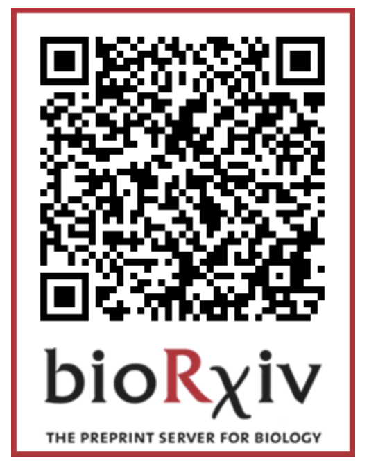 Our work on molten-globule driven phase separation of a viral factory scaffold is on Biorxvi.
@BioCondensates @Pha_Tran_Papers 
biorxiv.org/content/10.110…