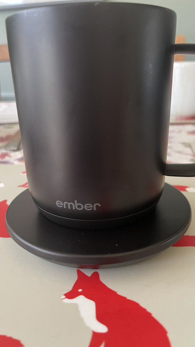 Breda Fox tweet media