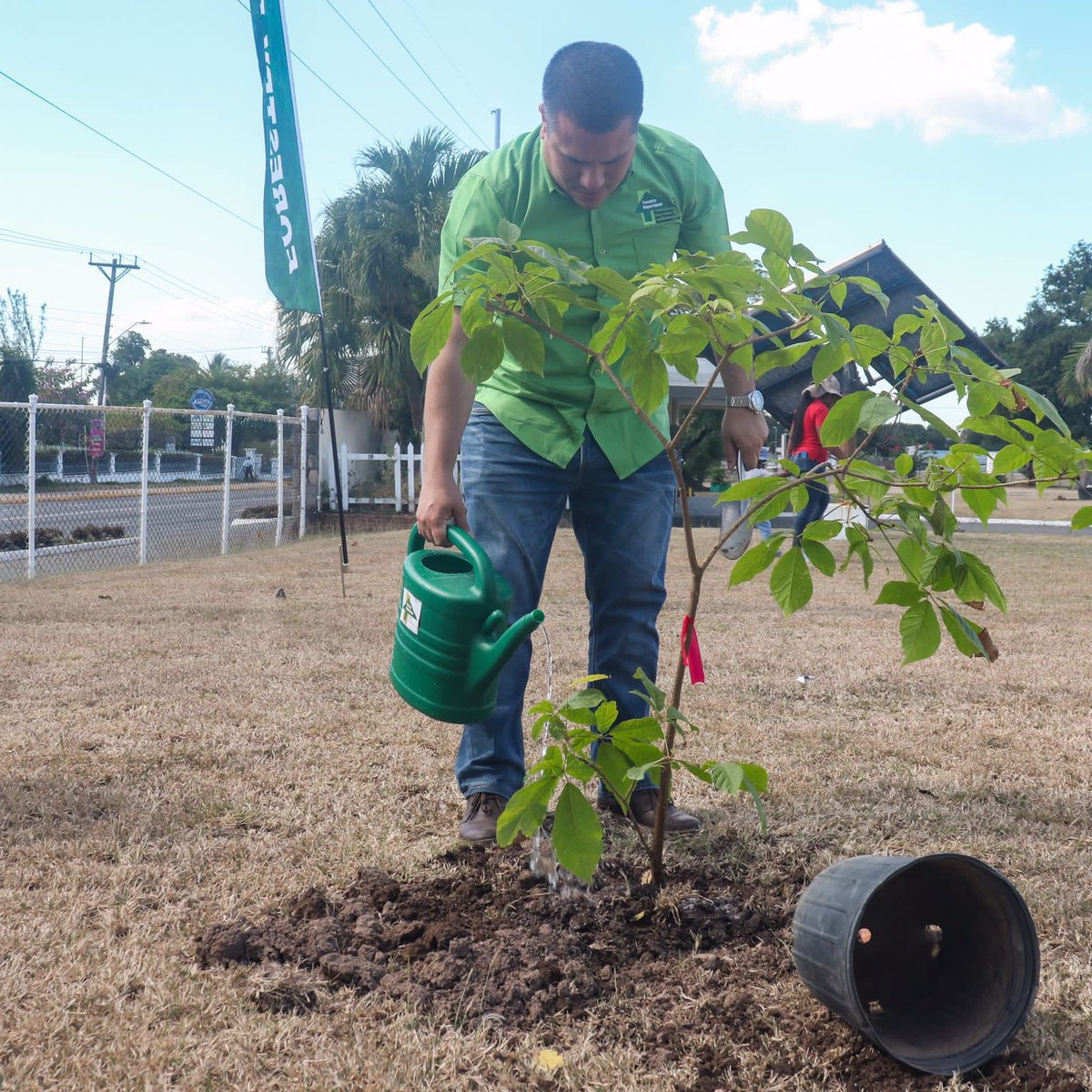 AndrewHolnessJM's tweet photo. (1/5) As part of our #NationalTreePlantingInitiative, Minister Matthew Samuda (@matthewsamuda) inaugurated a programme to improve tree cover in urban areas. https://t.co/wpaAwu9FdP