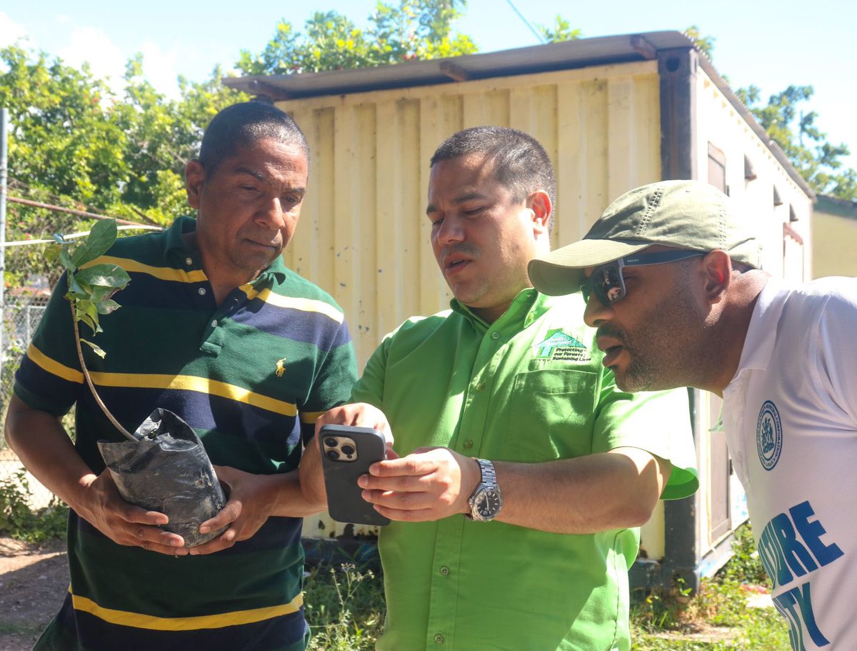 AndrewHolnessJM's tweet photo. (5/5) For a list of available seedlings and species specifications, visit the Forestry Department website: https://t.co/jUpqaumRq9 or call (876) 618-3205.
#NetGainInTreeCover #NTPI
#Ornamentals #FruitTrees https://t.co/O1FFbY78ll