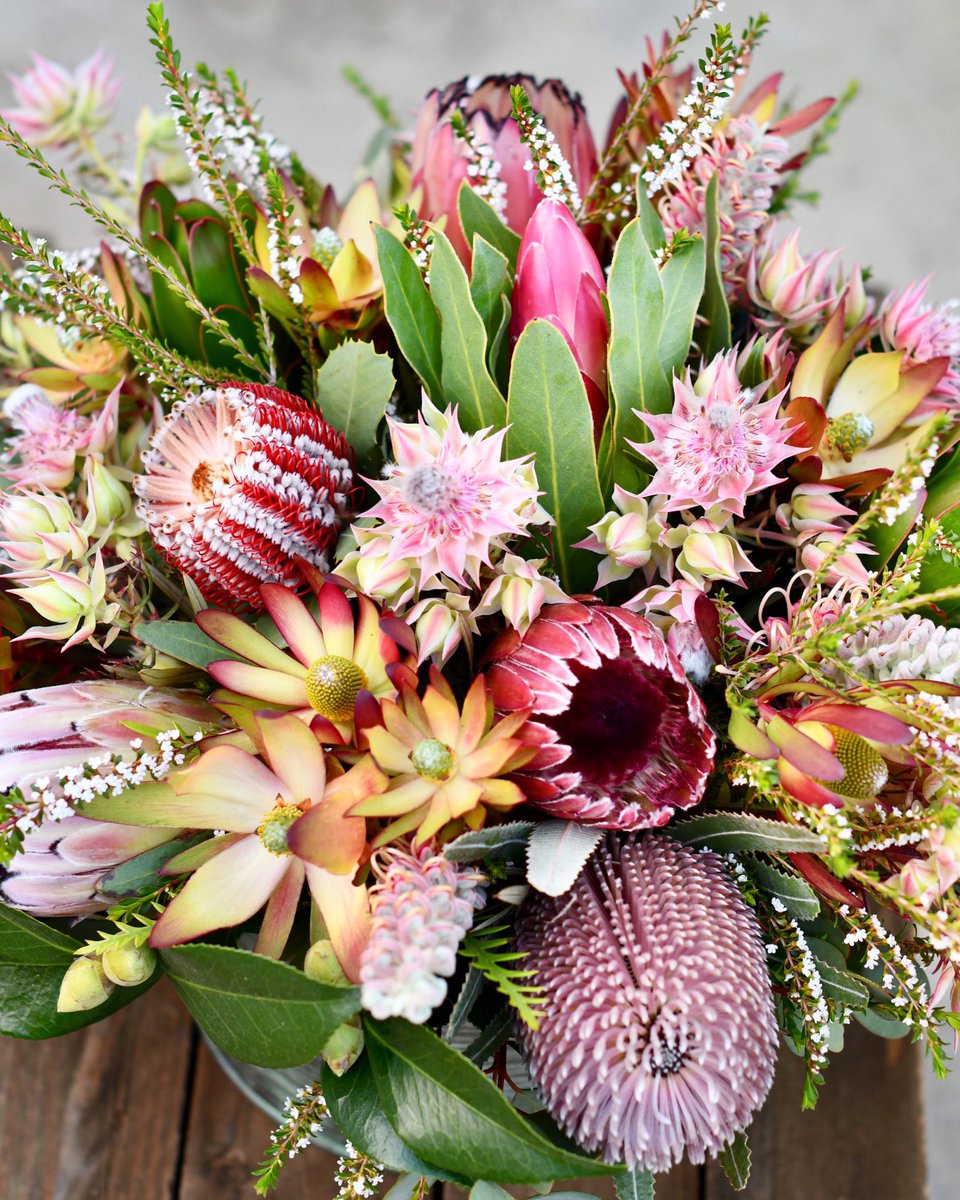 The best and most beautiful things in this world cannot be seen or even heard, but must be felt with the heart. -Helen Keller 🌷💕🌿 #mondaymotivation #listentoyourheart #inspiredbynature #fynbos #protea #fabulousfoliage #embracingtheseasons #cagrown