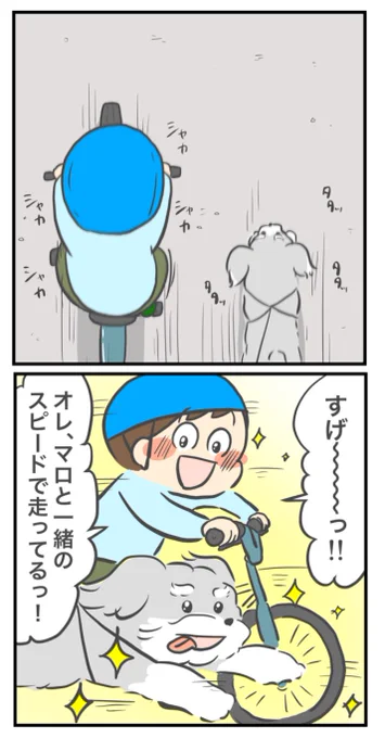 だけど痩せない
#犬のいる暮らし #漫画が読めるハッシュタグ 