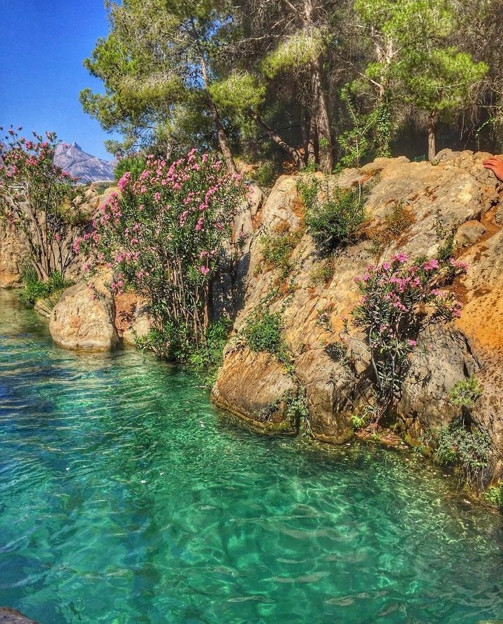 Abraza todo lo que te haga sentir que el mundo no es un lugar tan gris. 😉

¡Empezamos este lunes y final de enero  con fuerza! 

✍️ <a href="/RafaelCabaliere/">Rafael Cabaliere</a>
📸 IG thewobblyexplorer
📍 Les Fonts d'Algar, Callosa d'en Sarrià

#fontsdalgar 
#fuentesdelalgar
#callosadensarria 
#costablanca