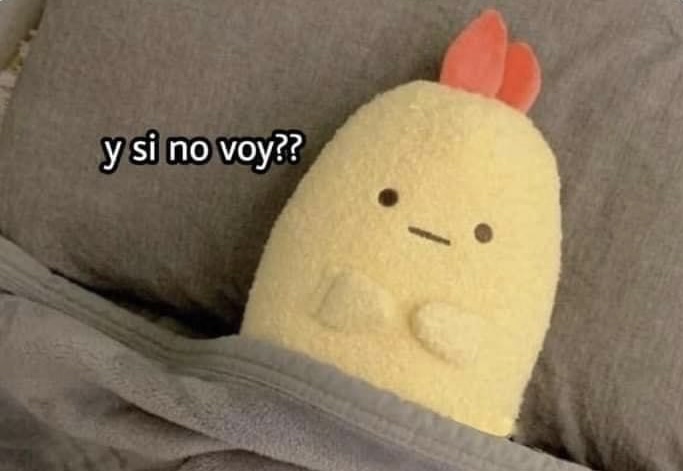 Yo todas las mañanas cuando suena la alarma: