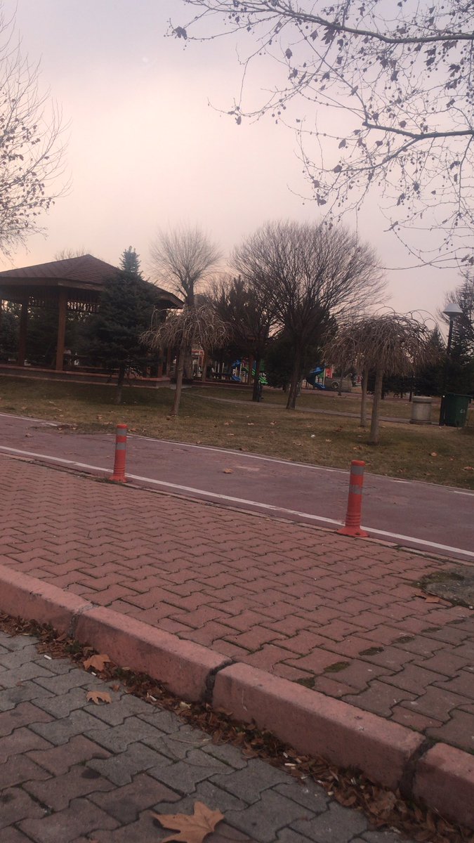 tolga (@tolga_psf) on Twitter photo 