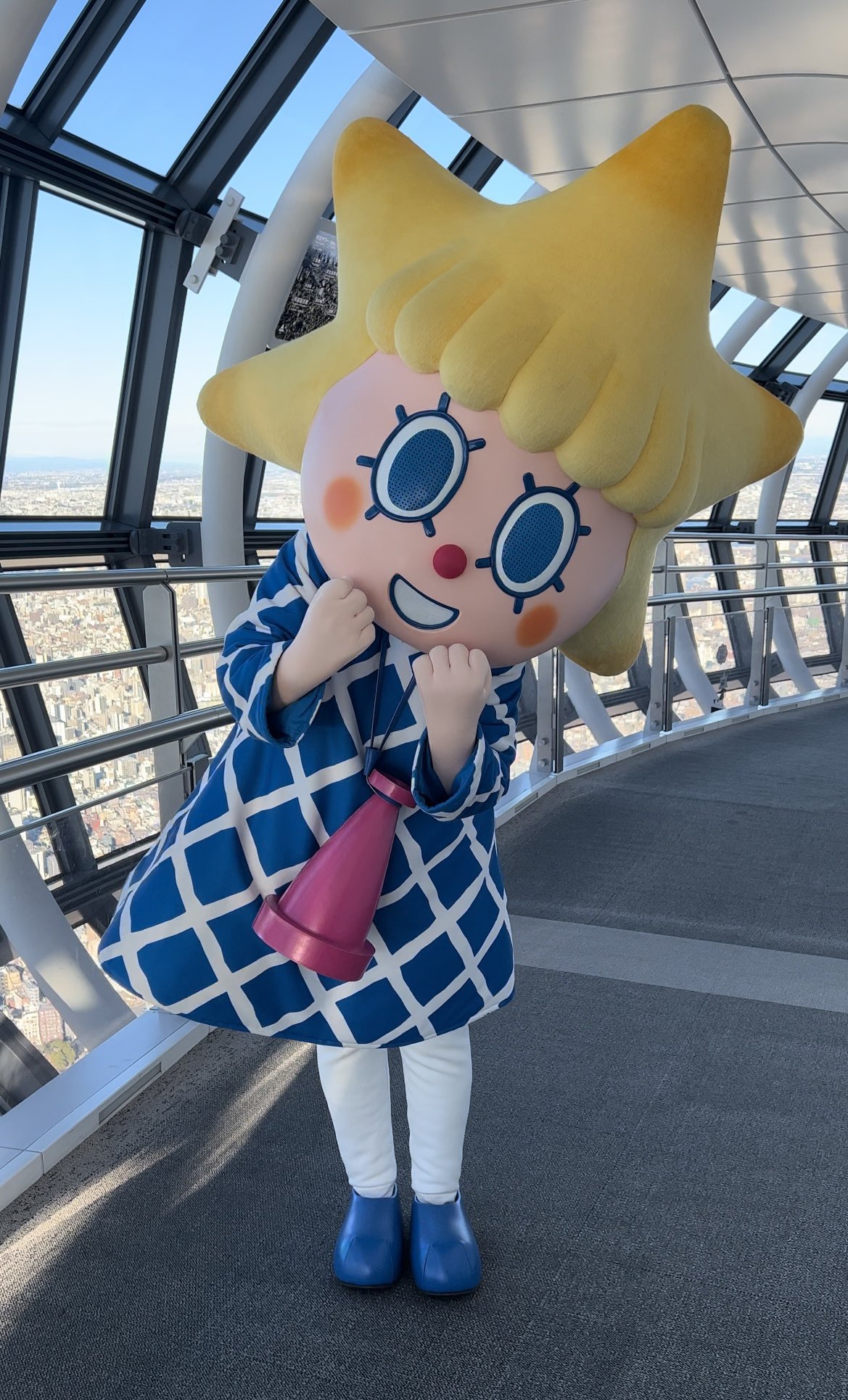 激レア！カワイイ♪東京スカイツリー キャラクター ソラカラちゃん 