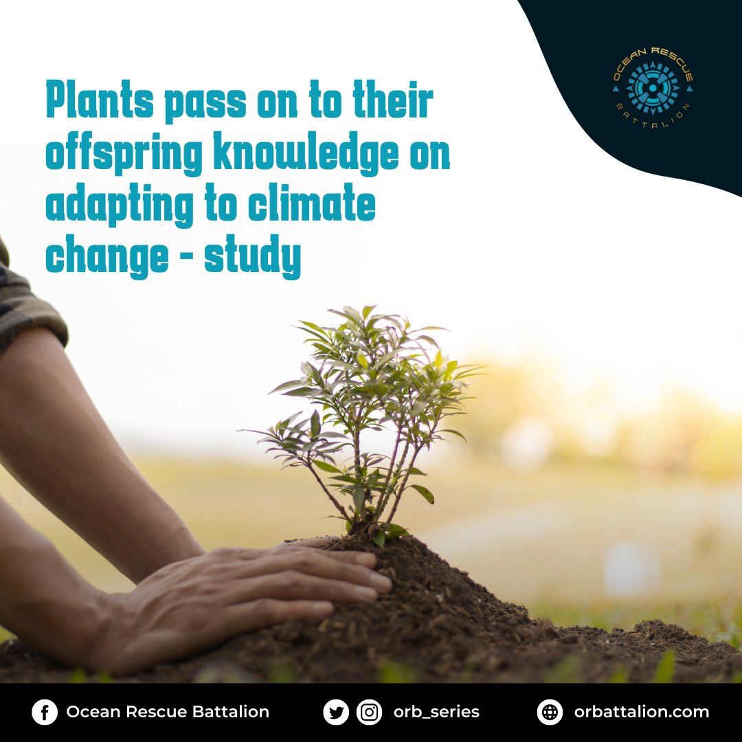 A new study released in the Trends in Plant Science journal found that plants haver been forced to quickly adapt to climate change, and then they pass on this knowledge to their offspring. Talk about evolution! 

Read more: euronews.com/green/2022/11/…

#environment #climatechange