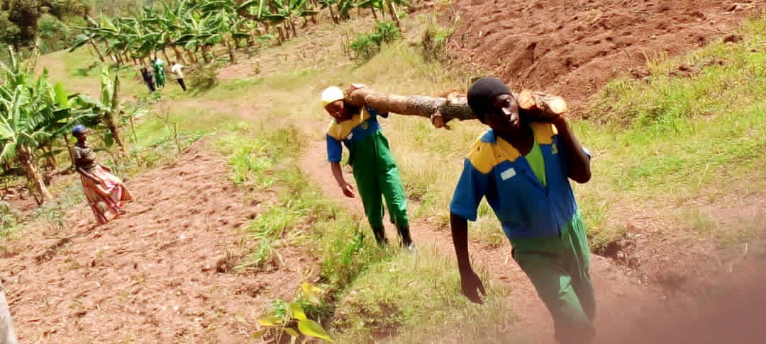Inkomezabigwi22's tweet photo. #Kayenzi intore ziri kurugerero zikomeje ibikorwa byo gufasha abatishoboye kubona amacumbi hano bakaba batundaga ibiti byo gushora inzu @Kamonyi @RwandaLocalGov @RwandaSouth @Unity_MemoryRw @DrNahayo @uwiringirajosee https://t.co/0T8g1xgNvt