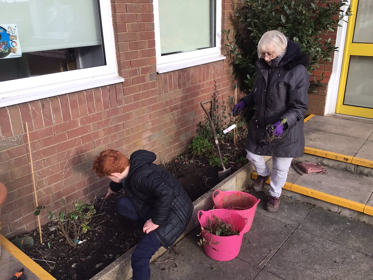 MrCStJames's tweet photo. A lovely lunchtime outside with #gardeningclub @StJamesYear6 tidying areas ready for planting in the future

Sweet peas beginning to germinate. @Lathyrus77 @sweetpeasociety https://t.co/algRx794Xw