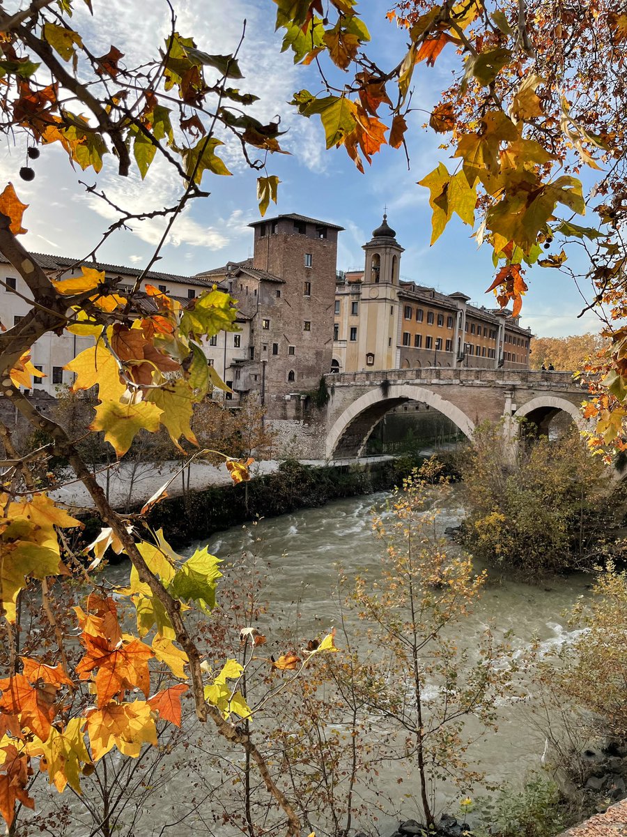 vuente's tweet photo. Roma 2022 https://t.co/Z263Stgkkk
