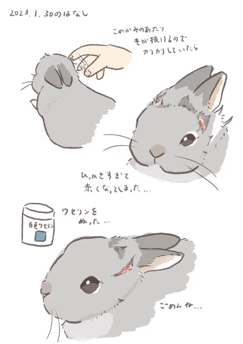 何度同じ過ちを

#うさぎのいる生活 