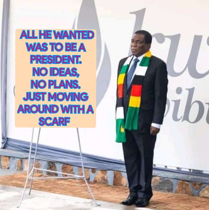 hurungwefarmer's tweet photo. Zimbabwe will function again when this excuse of a president is out of office. We have the power to show him the middle finger 🖕🏿. GO VOTE

#EDout 
#ChamisaMyPresident https://t.co/DHemK36EE7