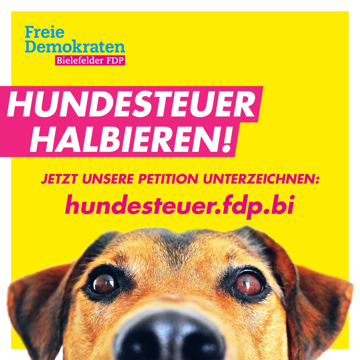 Die völlig überhöhte #Hundesteuer in #Bielefeld muss dringend halbiert werden. Unsere Petition dazu können Sie hier unterschreiben: hundesteuer.fdp.bi