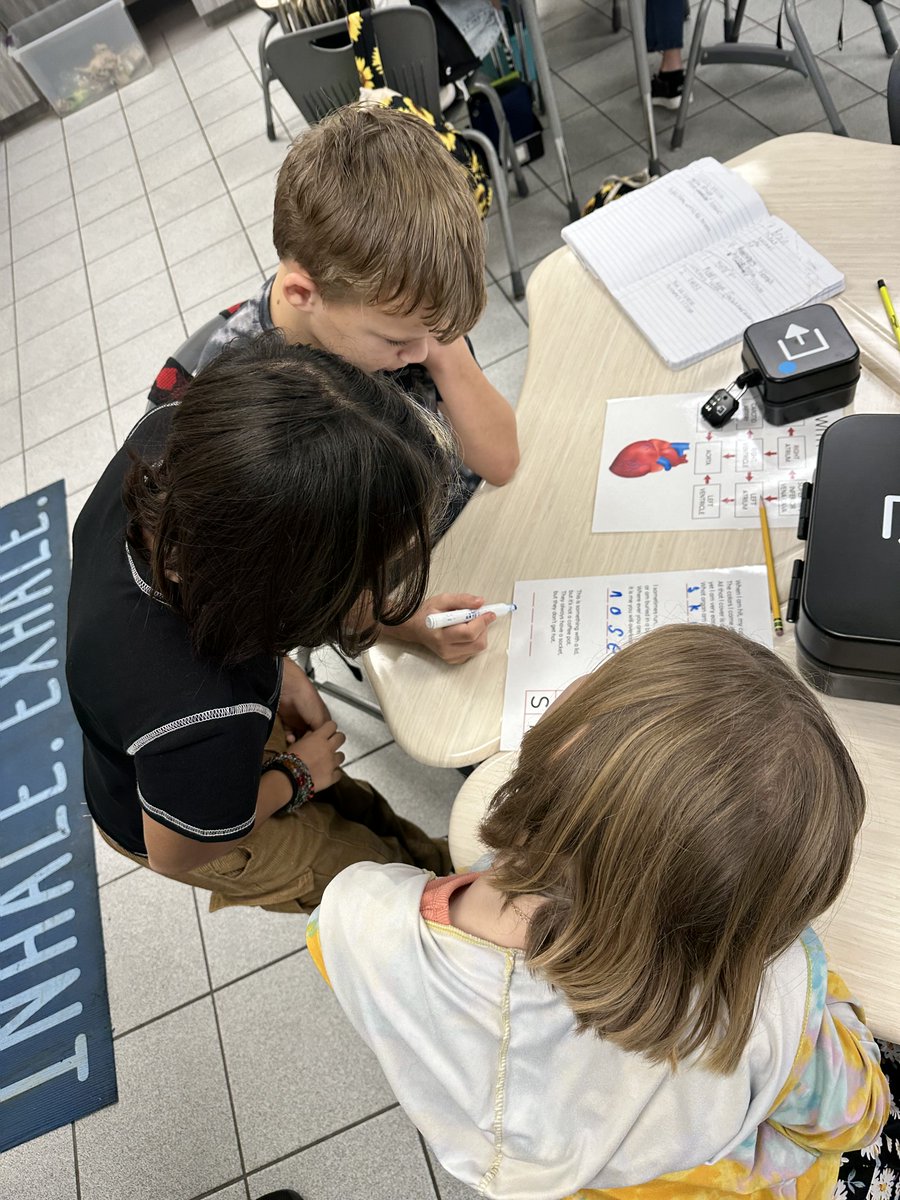 BrevardEdTech's tweet photo. South Lake 5th graders collaborated to succeed at a @breakoutEDU lesson on the human body!

#BrevardEdTech #BrevardPublicSchools #BPS https://t.co/aqvhZDjgxE