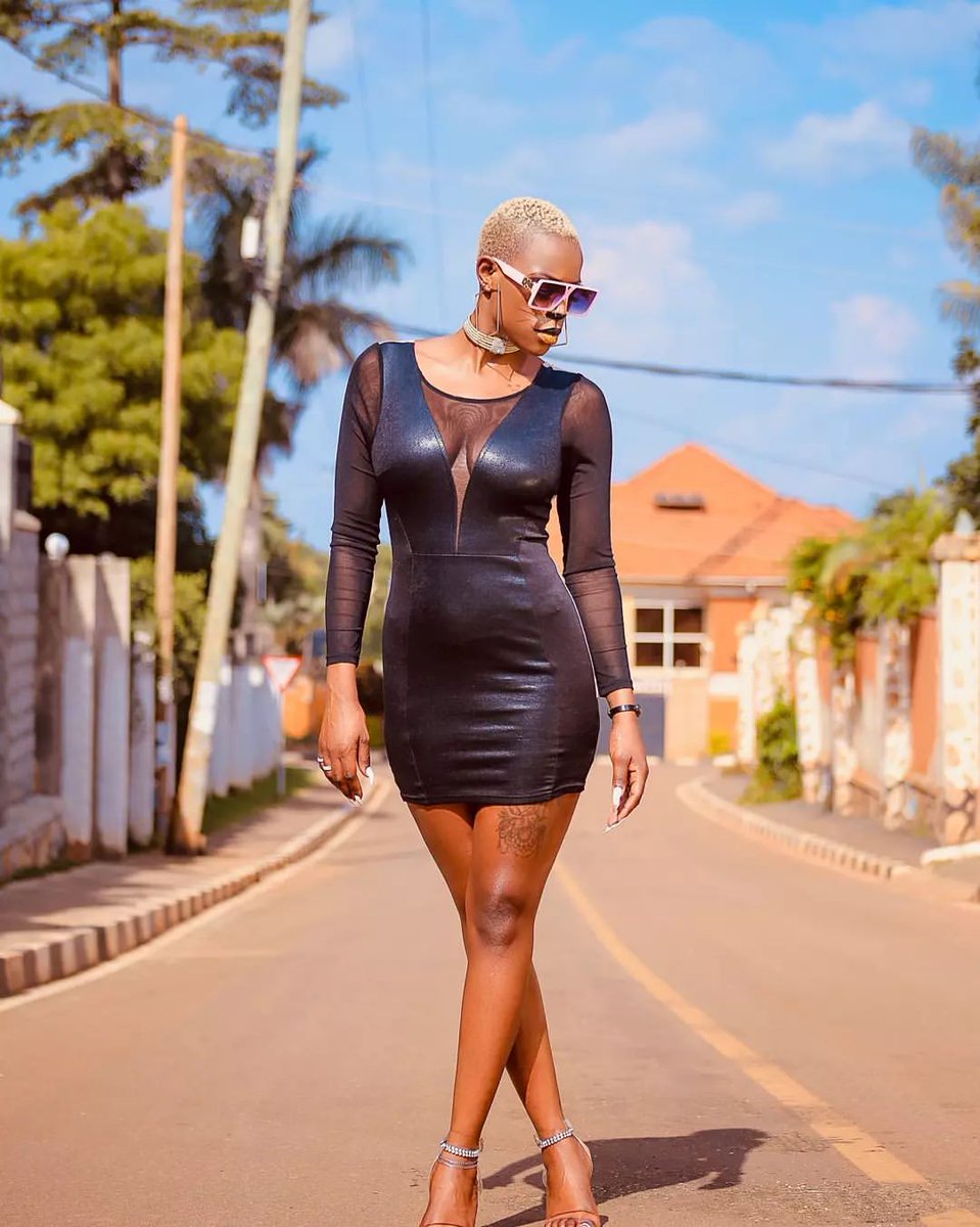 Kapa Cat tweet media