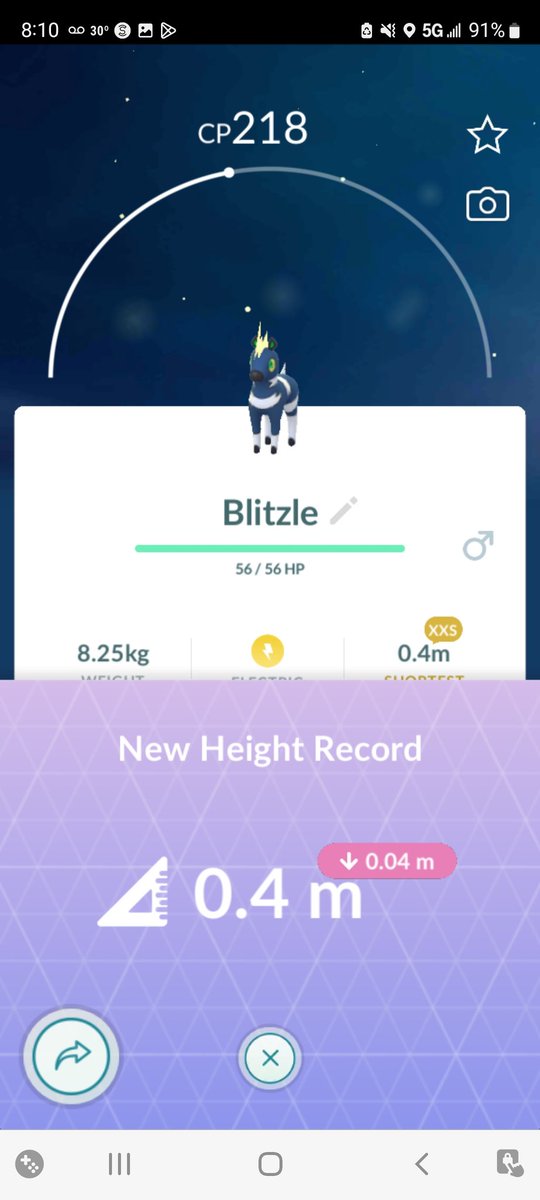 TSG_Jump's tweet photo. Such a tiny shiny 😍

#PokemonGo #ShieldGaming https://t.co/PLTSvgpY10