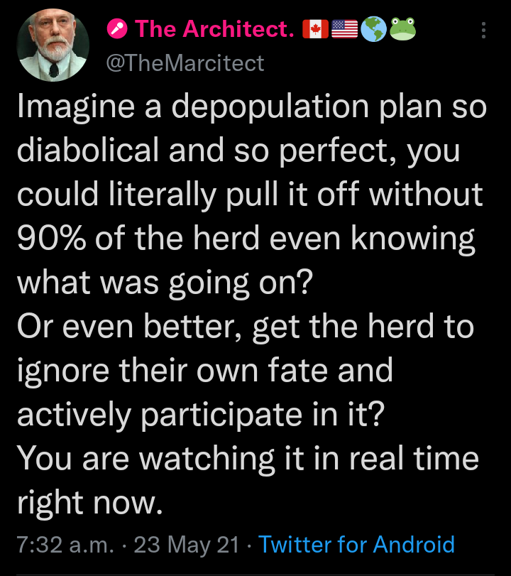 Coming up on two years since I tweeted this and now watching so called mainstream social media influencers talking about depopulation is vindicating. I took a lot of abuse for this one.