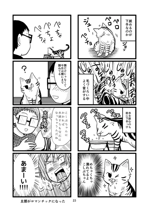 『ウインクこしぶちゃん』5/5
#マンガが読めるハッシュタグ #漫画が読めるハッシュタグ #エッセイ漫画 #猫漫画 