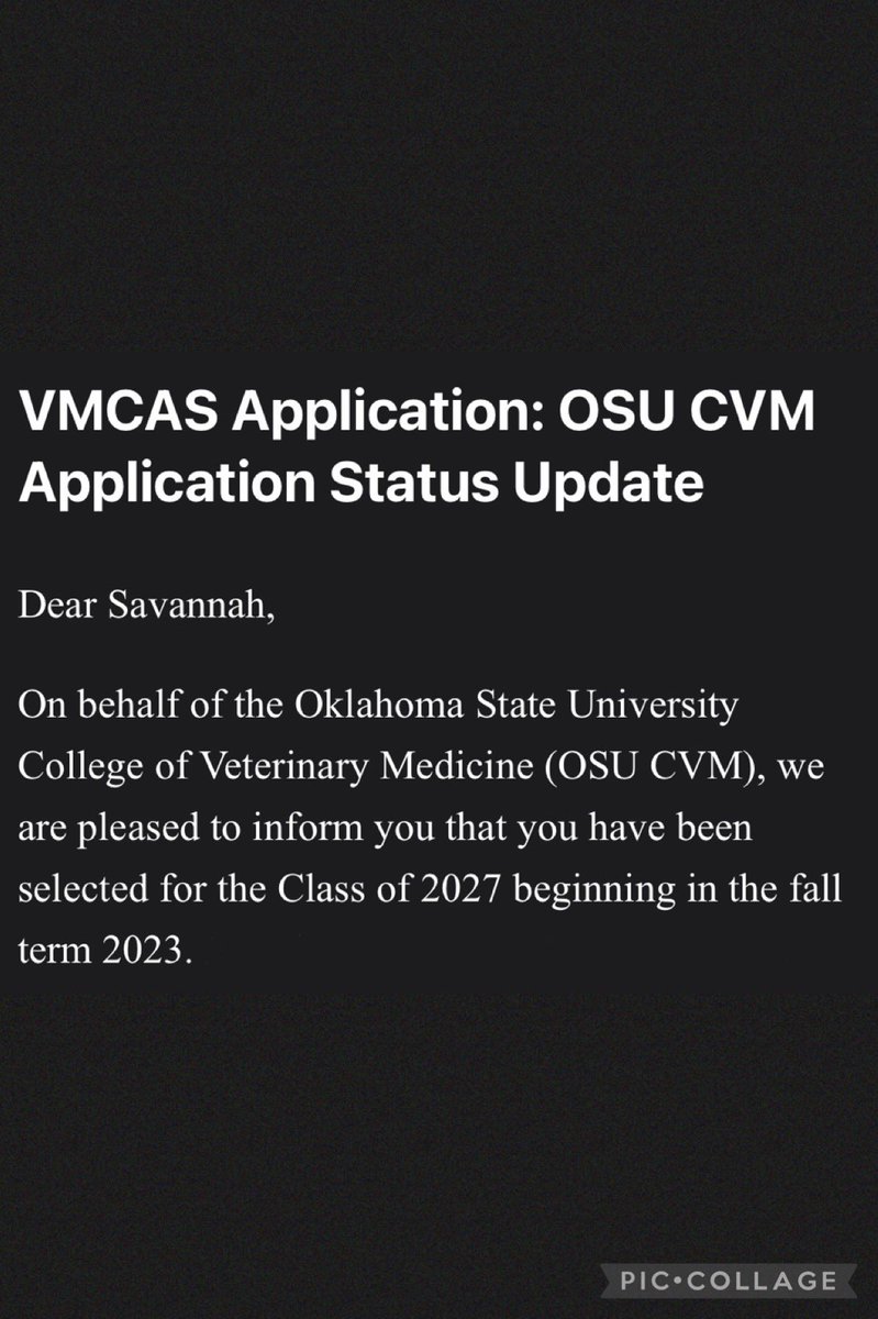 _sav_cottrell's tweet photo. Oklahoma State here I come! I’m going to be a veterinarian!🐾🧡 https://t.co/hYhV2Zr8q5