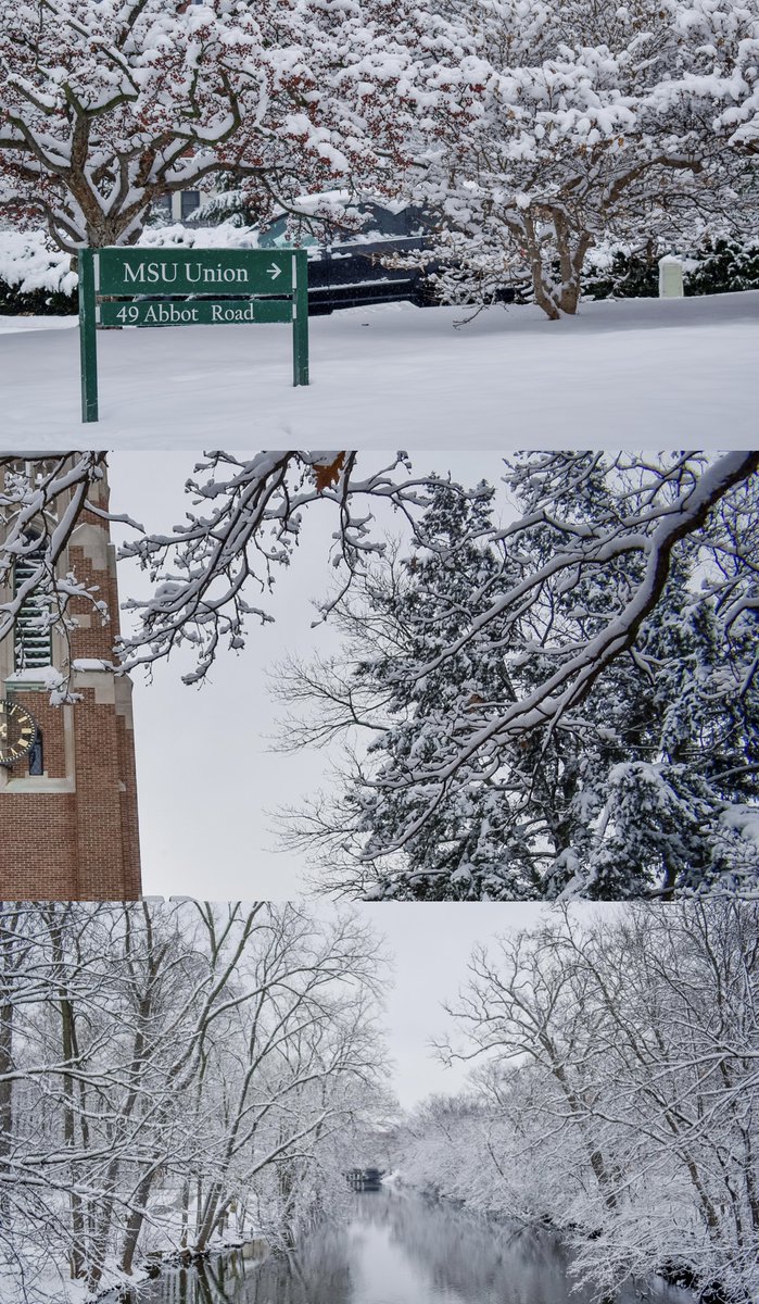 michiganstateu's tweet photo. Open the photos for more snow. ❄️ https://t.co/NmVtKto9hJ