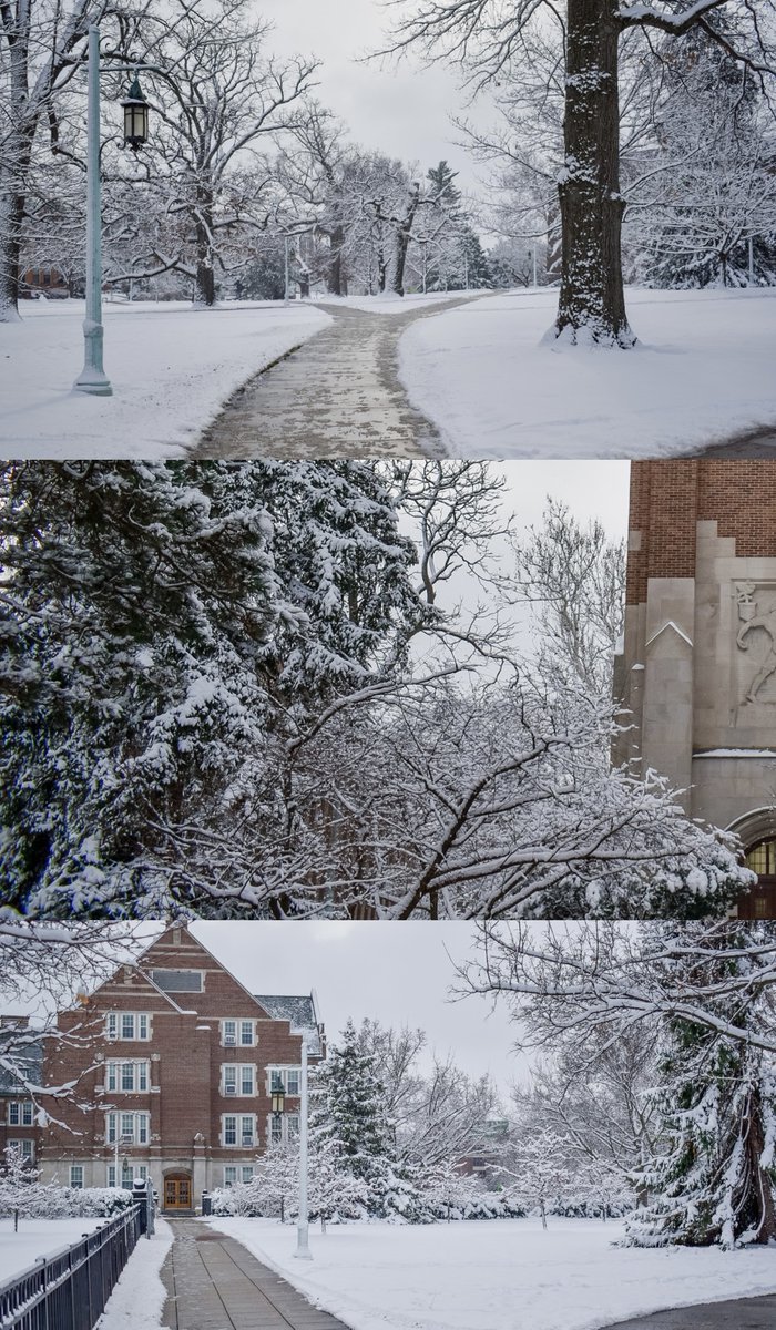 michiganstateu's tweet photo. Open the photos for more snow. ❄️ https://t.co/NmVtKto9hJ