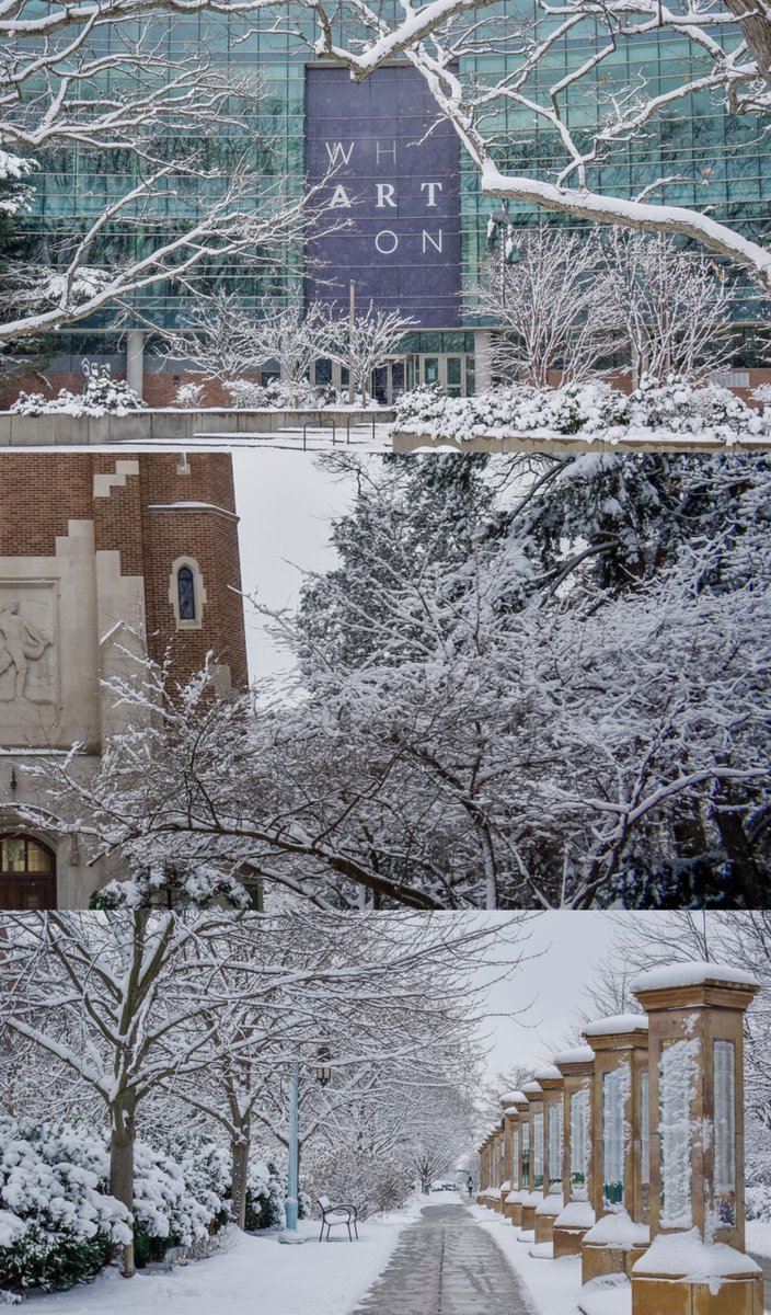 michiganstateu's tweet photo. Open the photos for more snow. ❄️ https://t.co/NmVtKto9hJ
