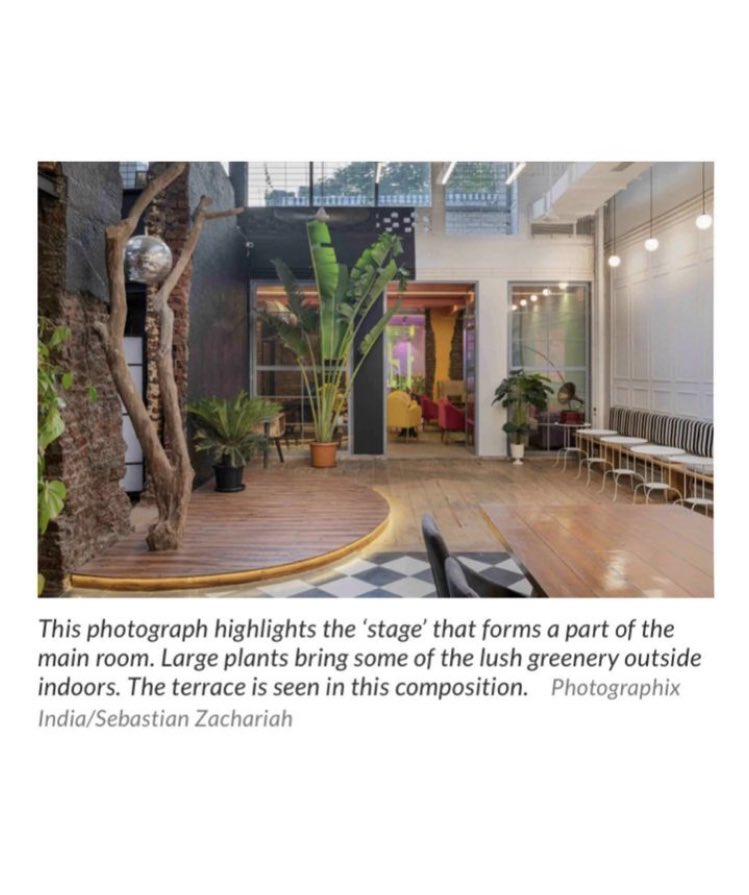 WifeIndia's tweet photo. We make sure that our brands, and our team takes the centre stage 🫡 (and also we have a tree growing inside our office 😭🫶🏻) https://t.co/8W1dceOZUE