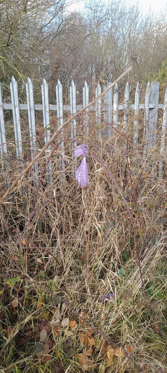 kvtr01's tweet photo. So this has been hanging here for the last 7 days, I wonder how many times the perpetrator has walked past it. If you are guilty of this habit have the courage to stick your hand up and explain why, because it is beyond me.
#seenonmylunchtimerun
#doublerunday
#birdreserve https://t.co/V4xJbpbq7j