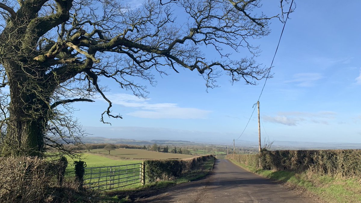 Dave Throup tweet media