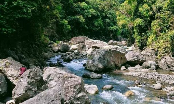 Em Kaye Guerrero tweet media