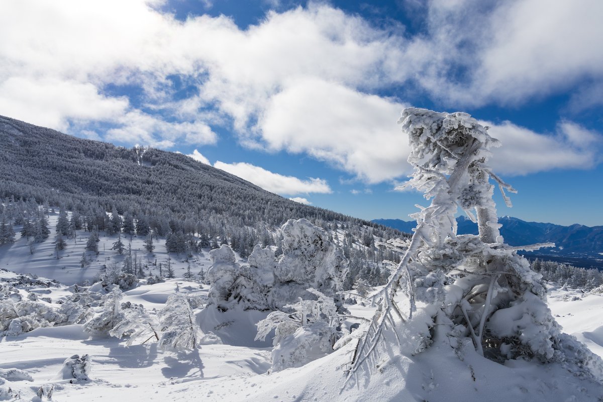 pvetCc8UFT6FKJM's tweet image. 2023.1.29　北横岳
雪ってこんなに綺麗なんだと実感。あらゆる雪景色が新鮮で、写真を撮るのに夢中だった。写真を撮ってて遭難ってことのないように注意しなくちゃね。
#EOS R6 Mark Ⅱ
#RF24-105mm F4 L IS USM