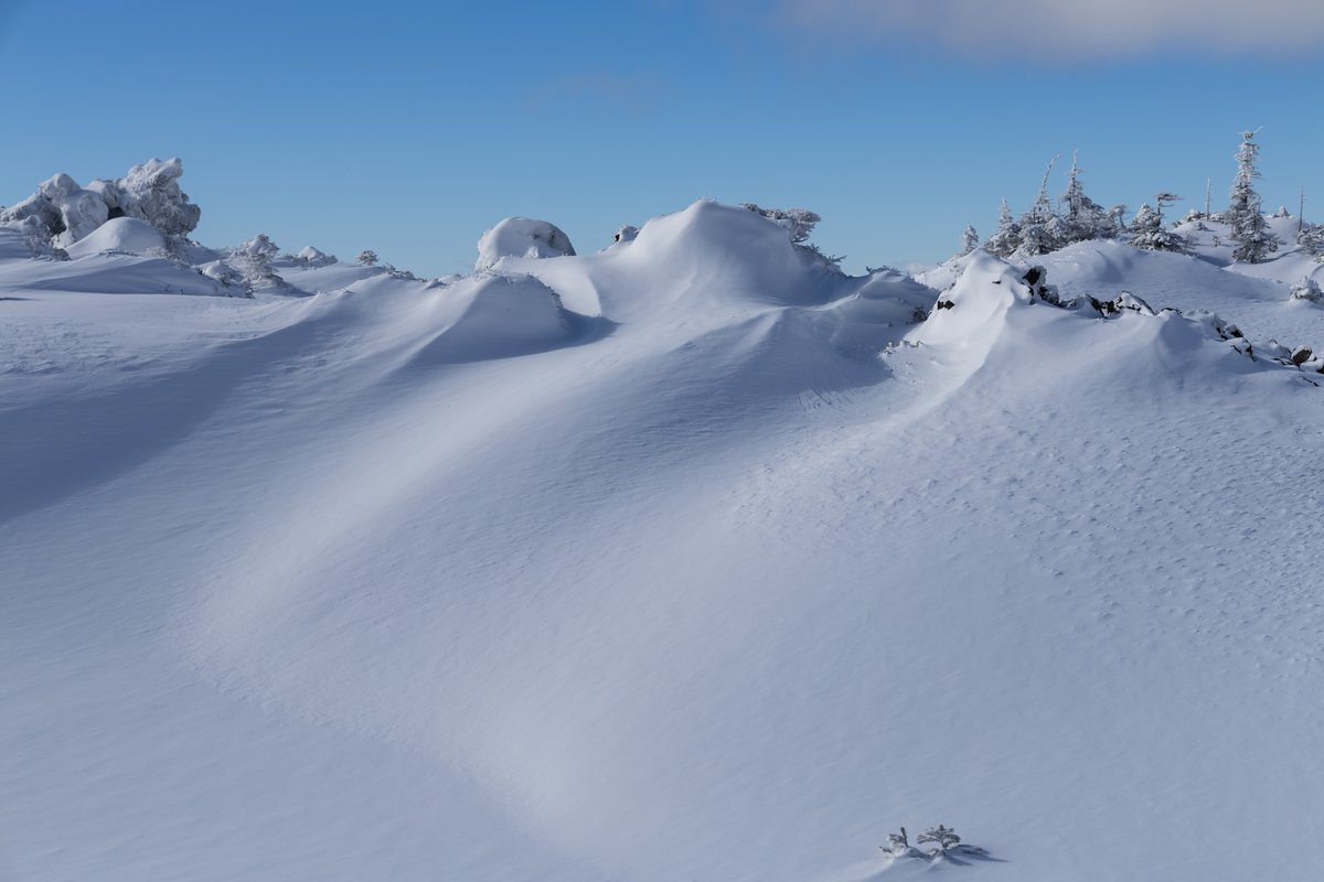 pvetCc8UFT6FKJM's tweet image. 2023.1.29　北横岳
雪ってこんなに綺麗なんだと実感。あらゆる雪景色が新鮮で、写真を撮るのに夢中だった。写真を撮ってて遭難ってことのないように注意しなくちゃね。
#EOS R6 Mark Ⅱ
#RF24-105mm F4 L IS USM