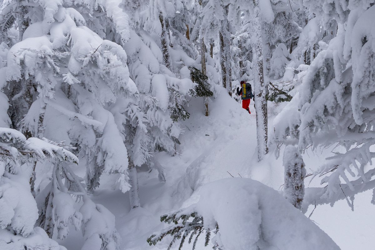 pvetCc8UFT6FKJM's tweet image. 2023.1.29　北横岳
雪ってこんなに綺麗なんだと実感。あらゆる雪景色が新鮮で、写真を撮るのに夢中だった。写真を撮ってて遭難ってことのないように注意しなくちゃね。
#EOS R6 Mark Ⅱ
#RF24-105mm F4 L IS USM
