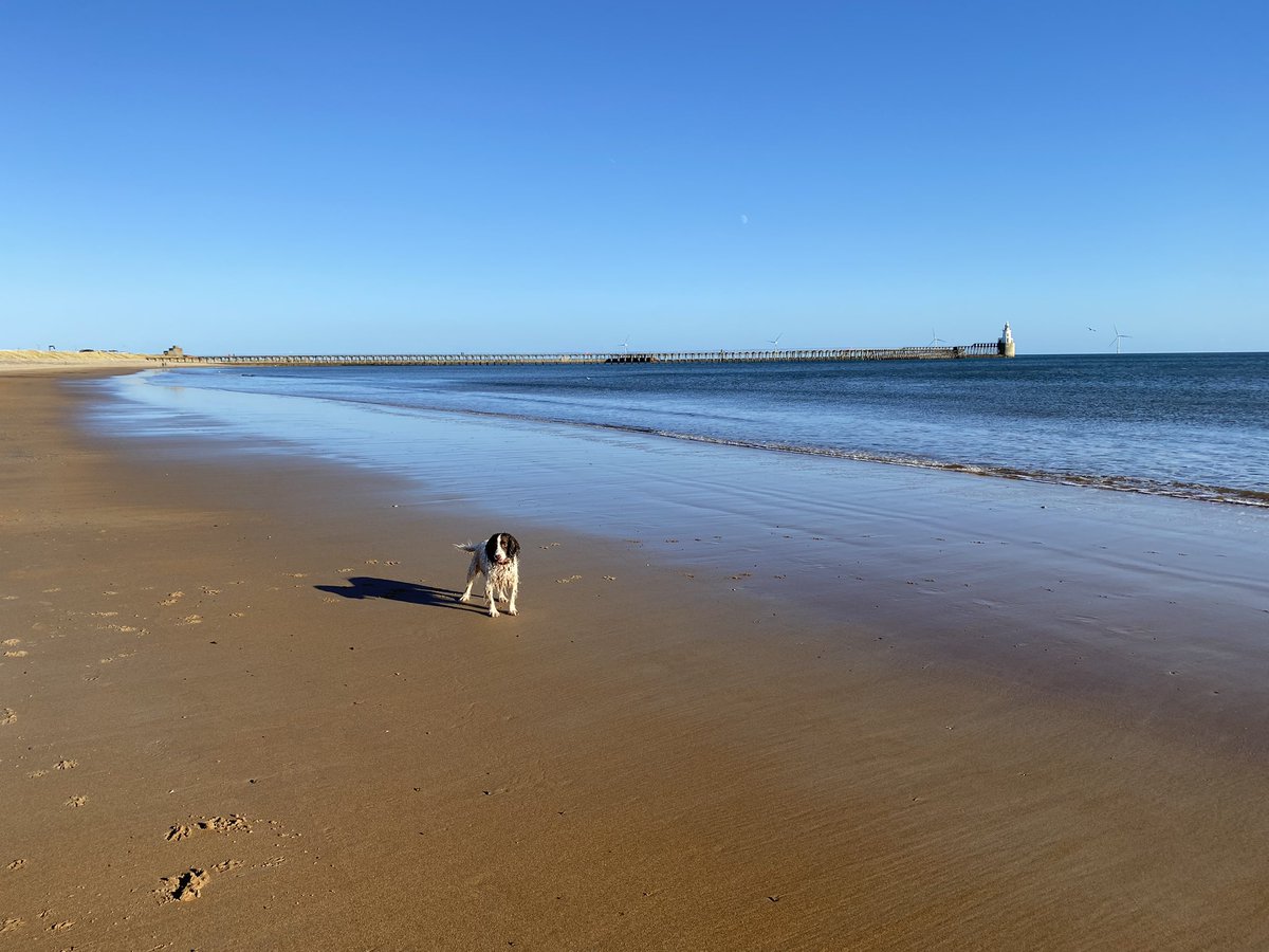 A perfect day for a walk on the beach 😎