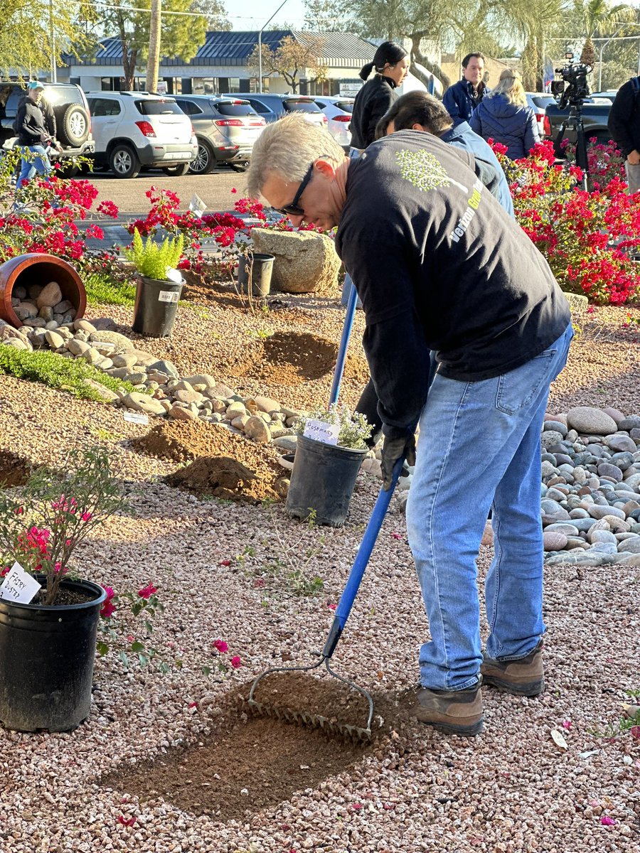 Community volunteers landscaped and beautified gardens in Mesa <a href="/nativehealthphx/">NativeHealthPhoenix</a> during <a href="/SuperBowl/">Super Bowl</a> Green Week! <a href="/AZSuperBowl/">AZSuperBowl</a> <a href="/AZCardinals/">Arizona Cardinals</a> <a href="/KPB_AZ/">Keep Phx Beautiful</a> <a href="/VerizonGreen/">VerizonGreen</a> <a href="/apsFYI/">APS</a> <a href="/NFL345/">NFL345</a> #SuperBowlLVII #NFLGreen