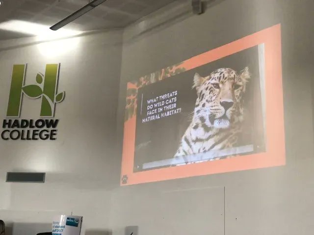 Hadlow_College's tweet image. It's Big Cat Week! @TheBigCatSanct are with our Animal Management students until Wednesday! So far, they have been learning about big cat threats in the wild, and conservation efforts to help to increase their populations. 🐅 🐆 #UniConnect #KMPF