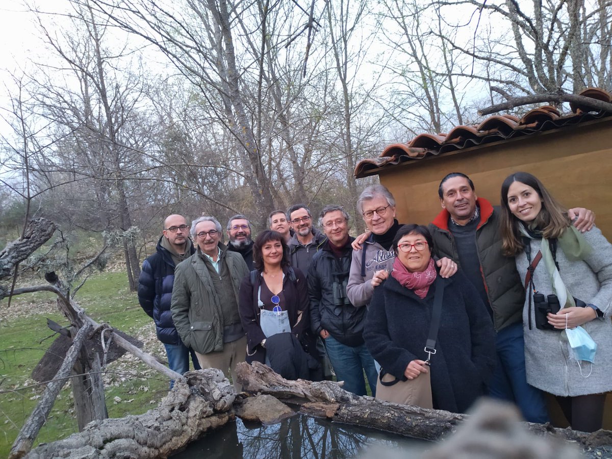 SEO/BirdLife tweet media