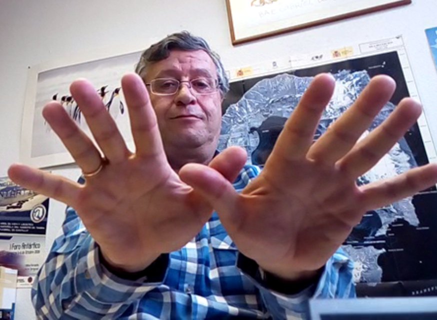 SEO/BirdLife tweet media