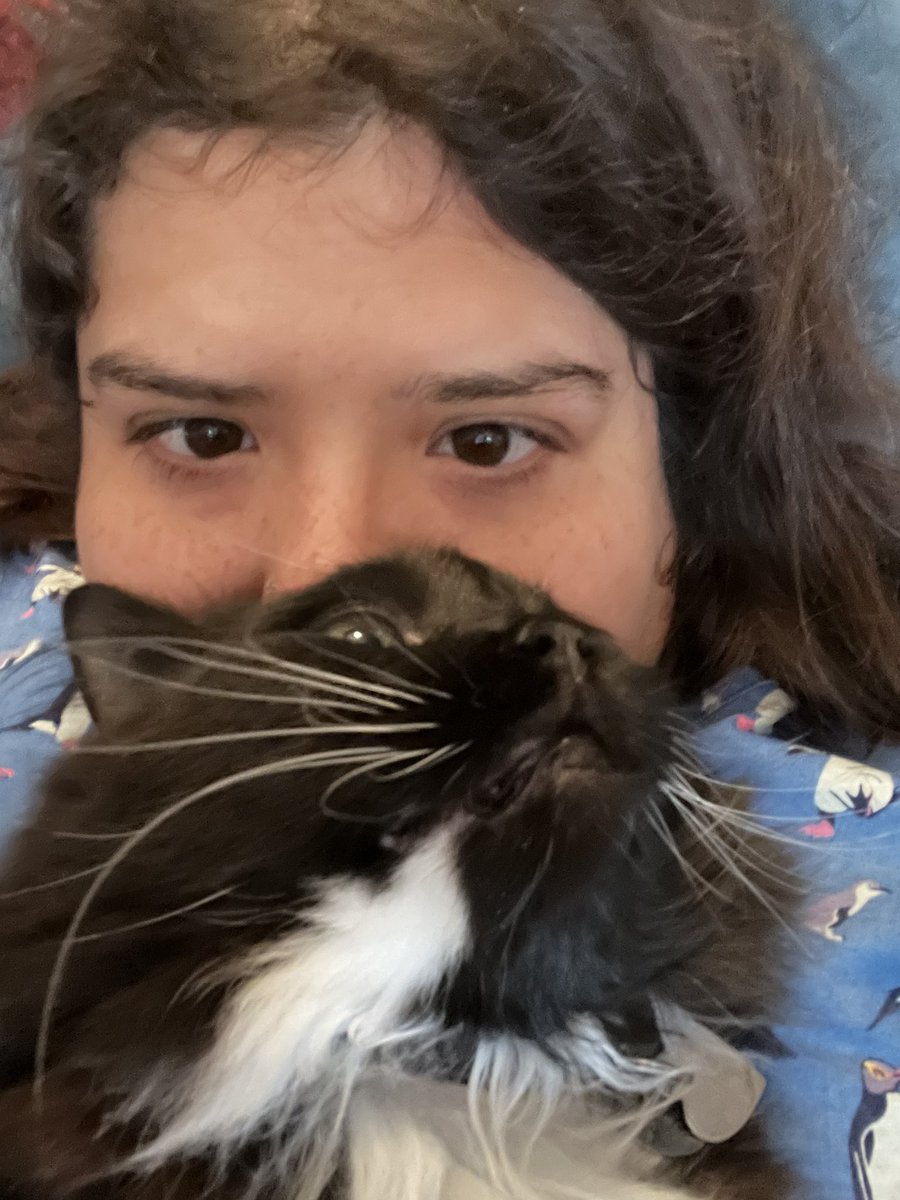 LaDanielaCanela's tweet photo. @mazonianfeline I was browsing kijiji ads for a black and white cat when I saw her picture and said « that’s my cat! ». I bused 1.5 hours to where her foster mom lived. She was so shy she would barely come near me but I knew she was my baby. Now she’s possessive as hell https://t.co/te80itu9K0