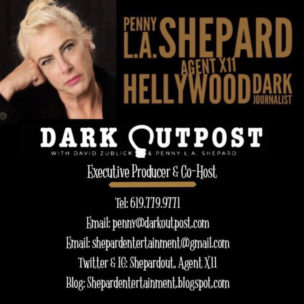 Agent X:11 Hellywood Dark Journalist tweet media